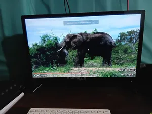 24 Inch Monitor + TV