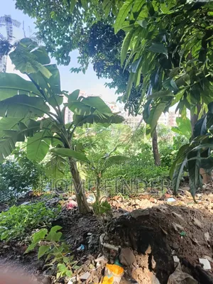 18 Katha Land for Sale Gulshan 2