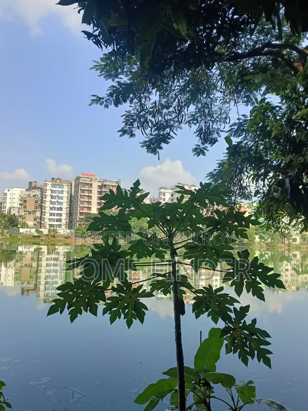 20 Katha Land Sale in Gulshan 2 (Near Pink City)