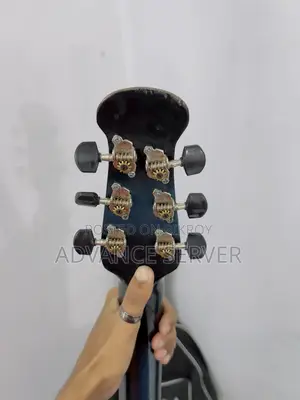 সিগনেচার ব্লু অ্যাকৌস্টিক গিটার