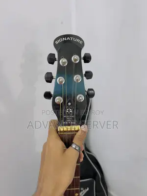 সিগনেচার ব্লু অ্যাকৌস্টিক গিটার