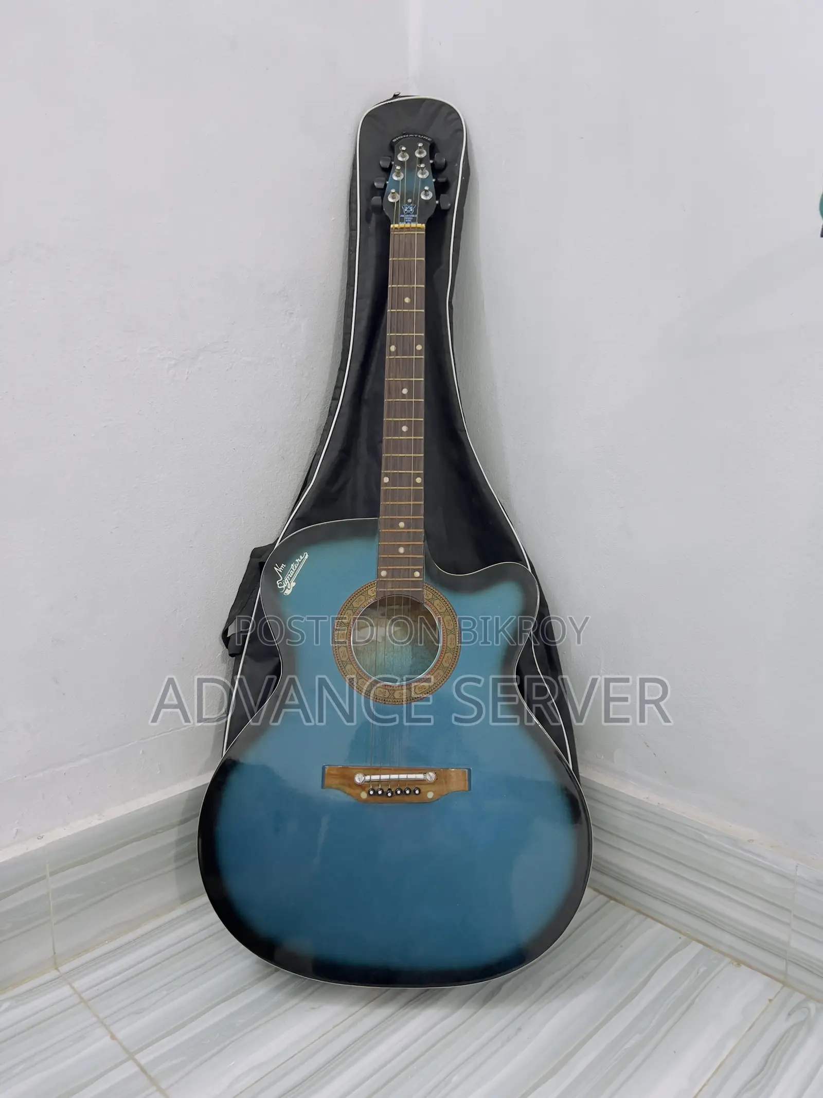 সিগনেচার ব্লু অ্যাকৌস্টিক গিটার