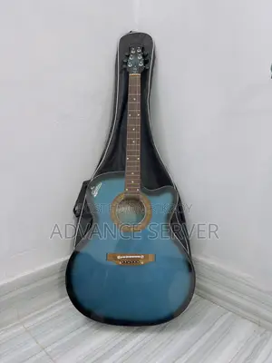 Signature Blue Acoustic Guitar