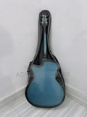 সিগনেচার ব্লু অ্যাকৌস্টিক গিটার