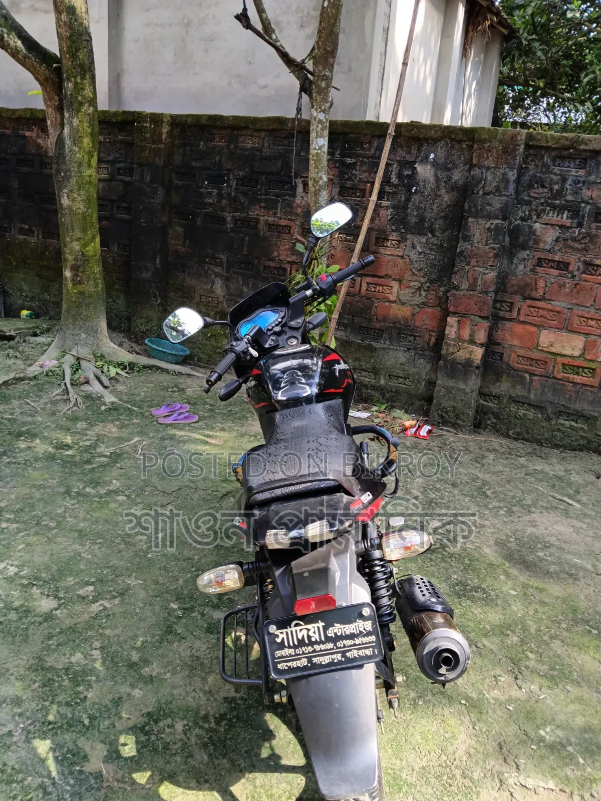 নতুন বাজাজ পালসার ১৫০ ২০২৫ লাল