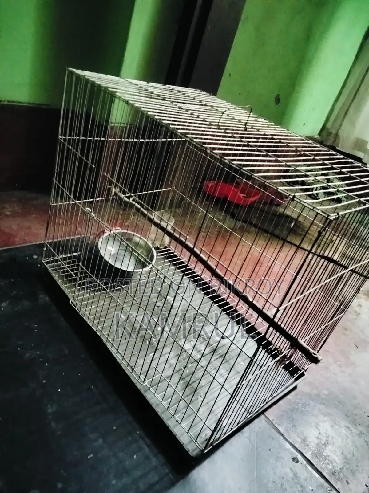 The cage is relatively fresh.