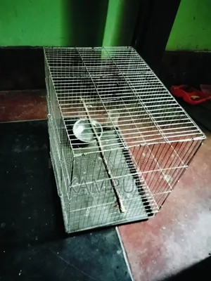 The cage is relatively fresh.