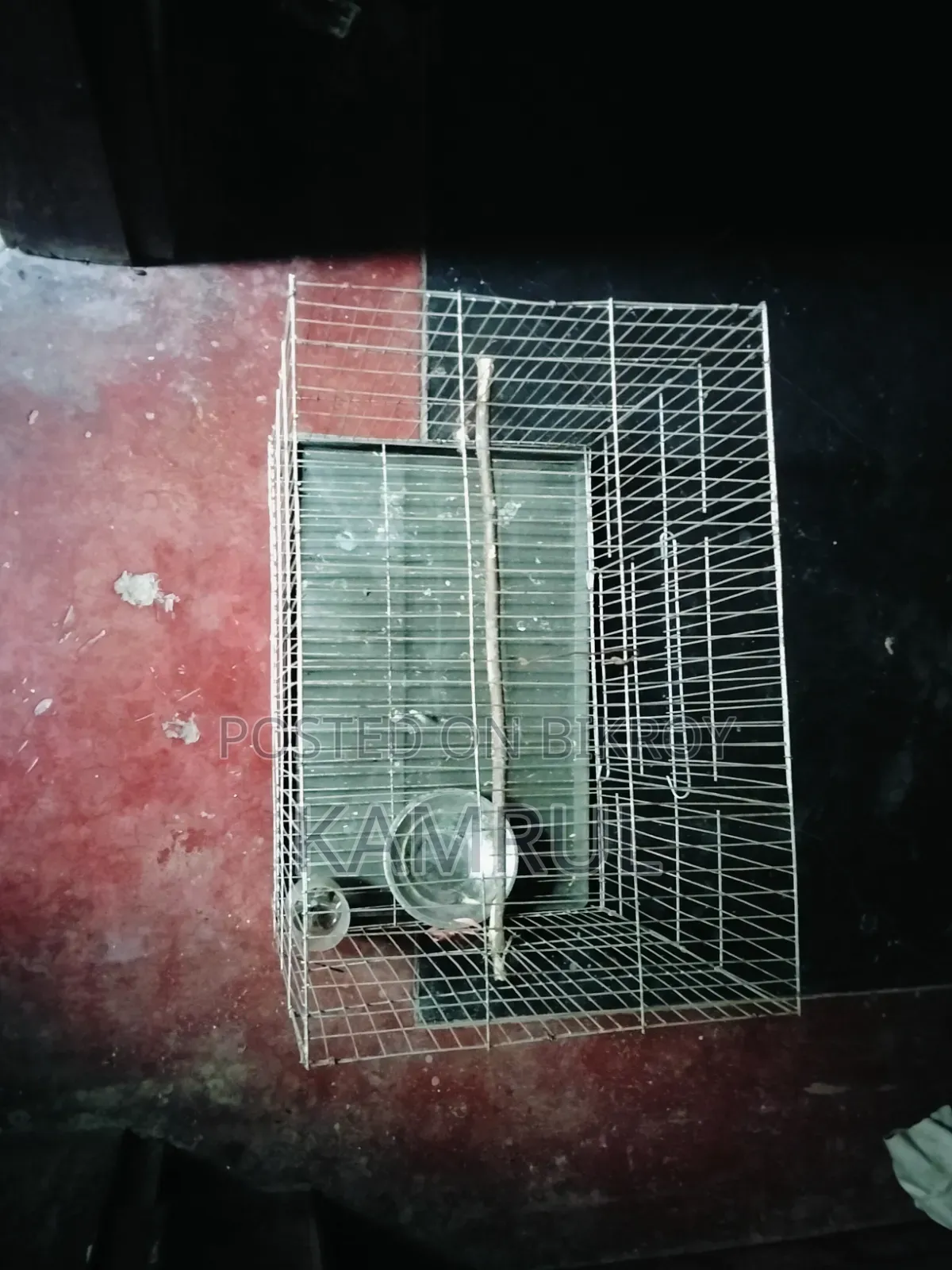 The cage is relatively fresh.