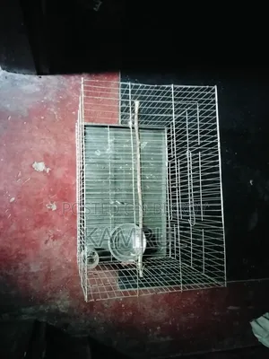 The cage is relatively fresh.
