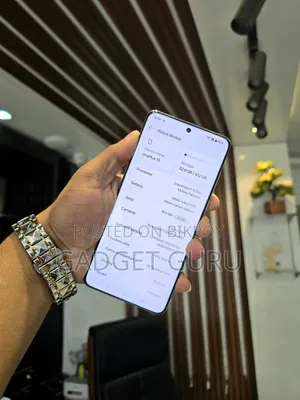 OnePlus 13 512 GB Blue