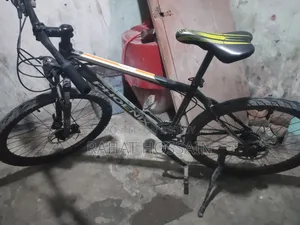 Phoenix Cycle