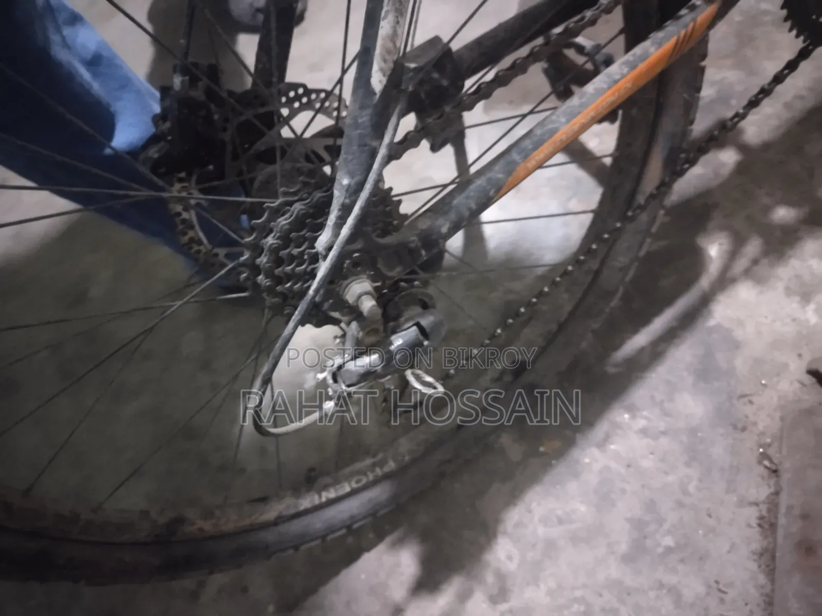 Phoenix Cycle