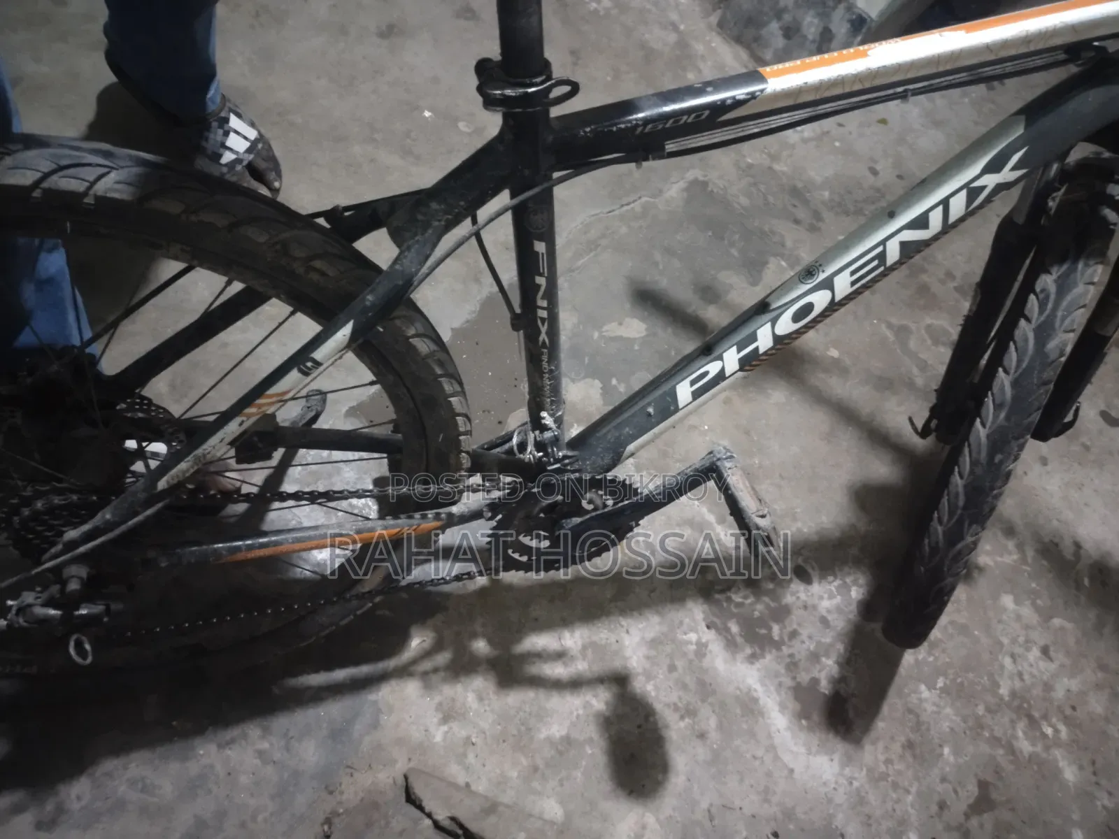 Phoenix Cycle