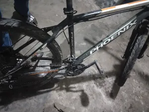 Phoenix Cycle
