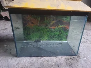 1.5 Fit Aquarium for Sell