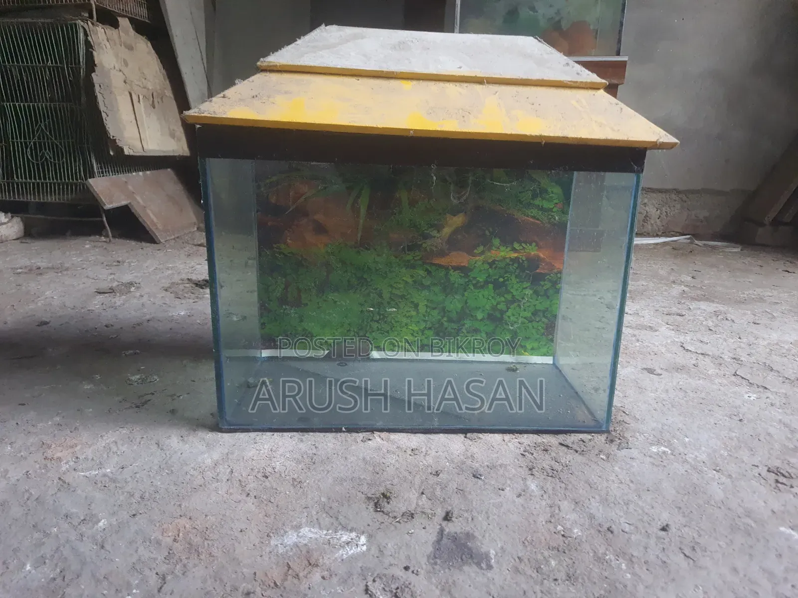 1.5 Fit Aquarium for Sell