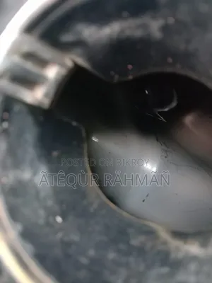 TVS Apache RTR 160 4V 2024 Blue