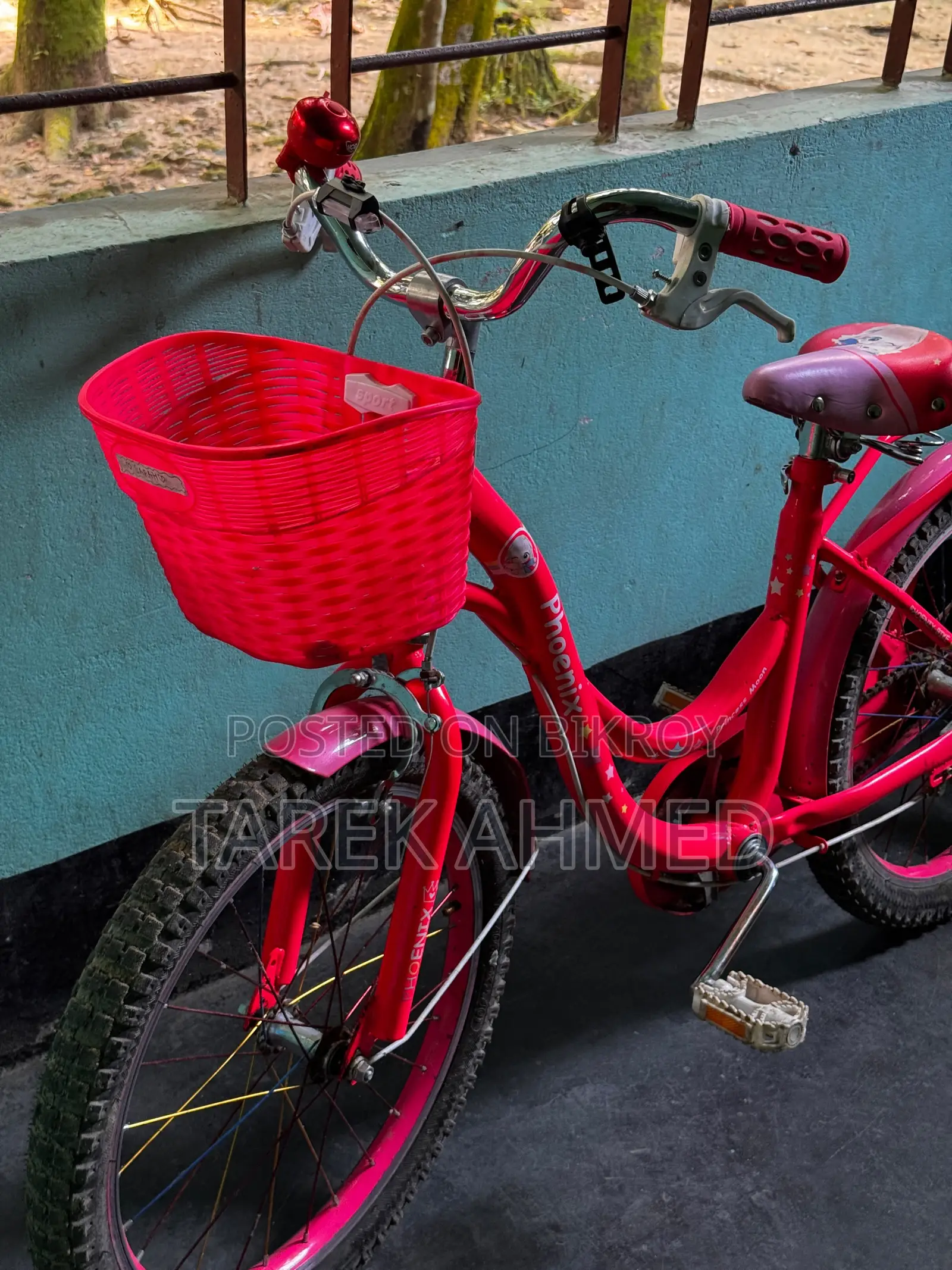 Bicycle for Girls