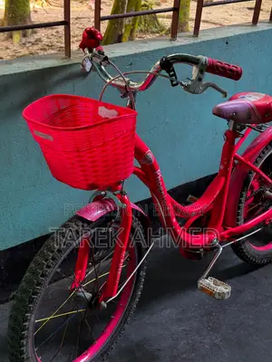 Bicycle for Girls