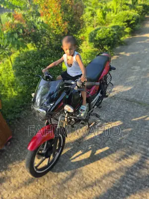 Bajaj Pulsar 150 2015 Red