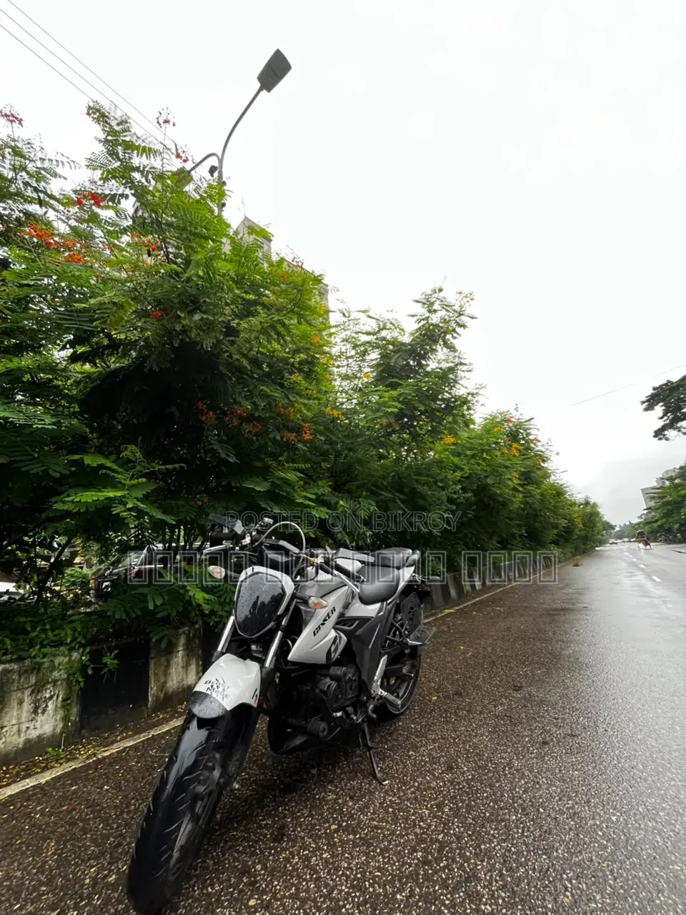 সুজুকি জিক্সার ২০২২ রেড