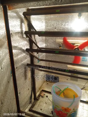 Automatic Incubator 1200 Pcs 600 Hatching Total 1800 Setup