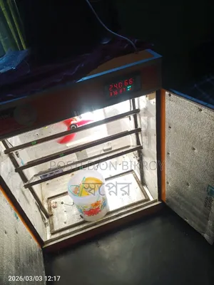 Automatic Incubator 1200 Pcs 600 Hatching Total 1800 Setup