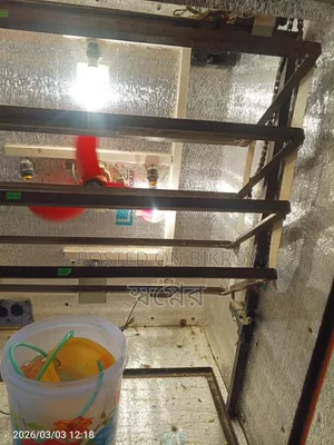 Automatic Incubator 1200 Pcs 600 Hatching Total 1800 Setup