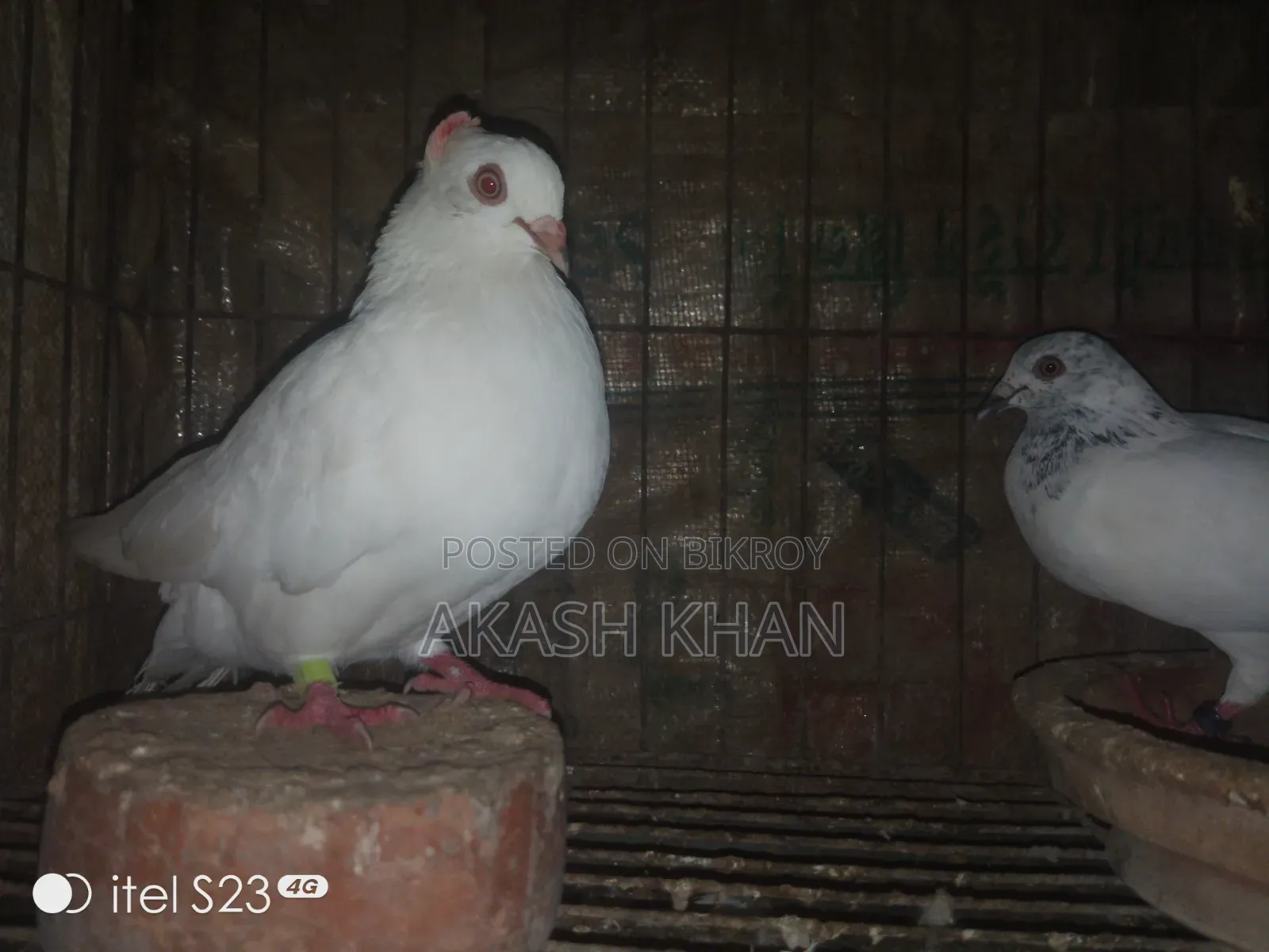 Rj.Akash Khan