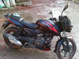 Bajaj Pulsar 150 2024 Red