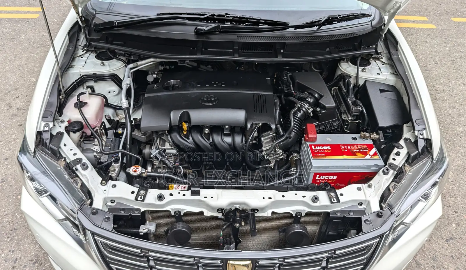 Toyota Premio 1.5 Front-Wheel Drive 2020 Pearl