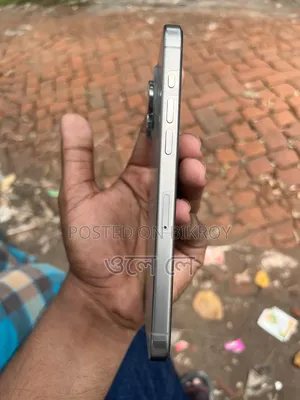 Apple iPhone 15 Pro Max 256 GB Silver