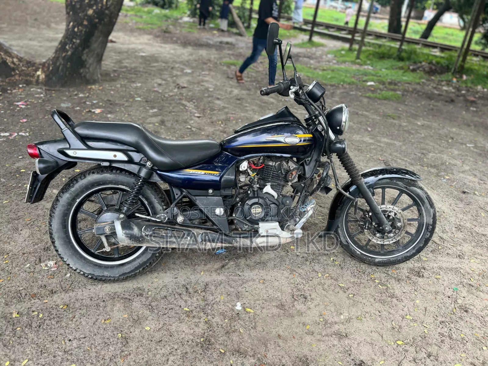 Bajaj Avenger 150 Street 2019 Blue