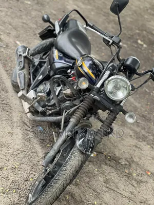 Bajaj Avenger 150 Street 2019 Blue