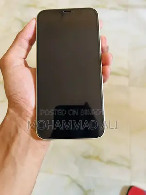 Apple iPhone 12 256 GB Green