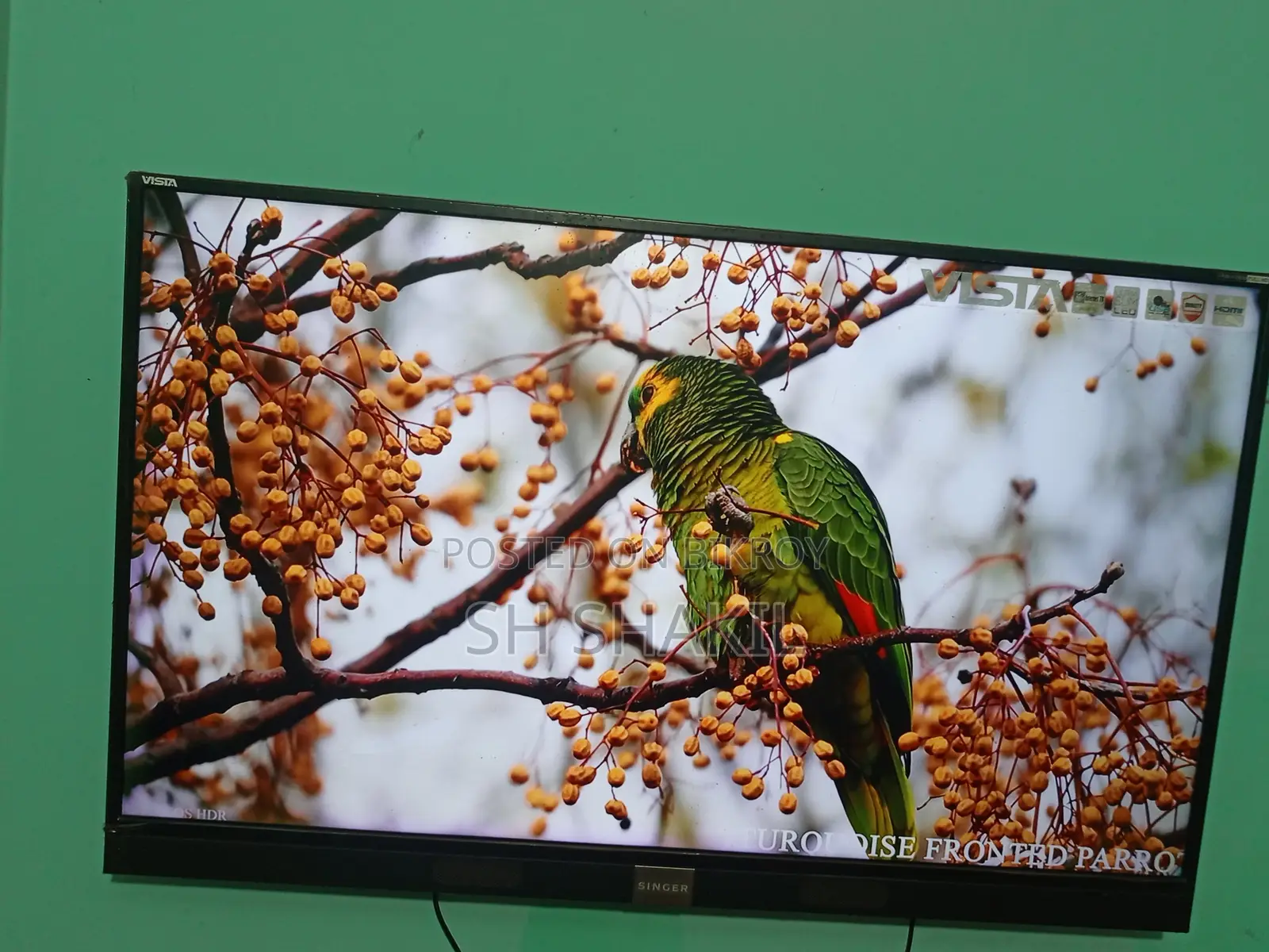 Used Singer TV Smart TV 49 Inch Good Condition