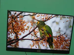 Used Singer TV Smart TV 49 Inch Good Condition
