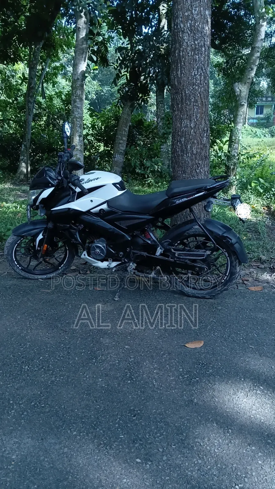 Bajaj Pulsar NS 160 2020 White