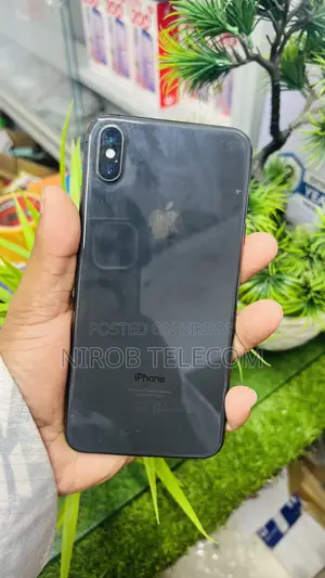 অ্যাপল আইফোন এক্সএস ম্যাক্স ২৫৬ জিবি পিংক