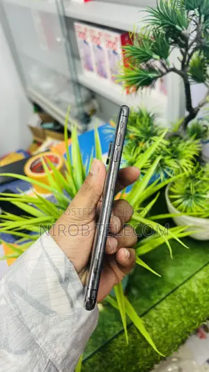 অ্যাপল আইফোন এক্সএস ম্যাক্স ২৫৬ জিবি পিংক