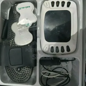 Electronic Pulse Massager