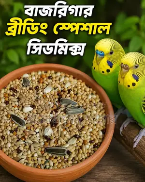 বাজরিগার ব্রীডিং স্পেশাল সিডমিক্স