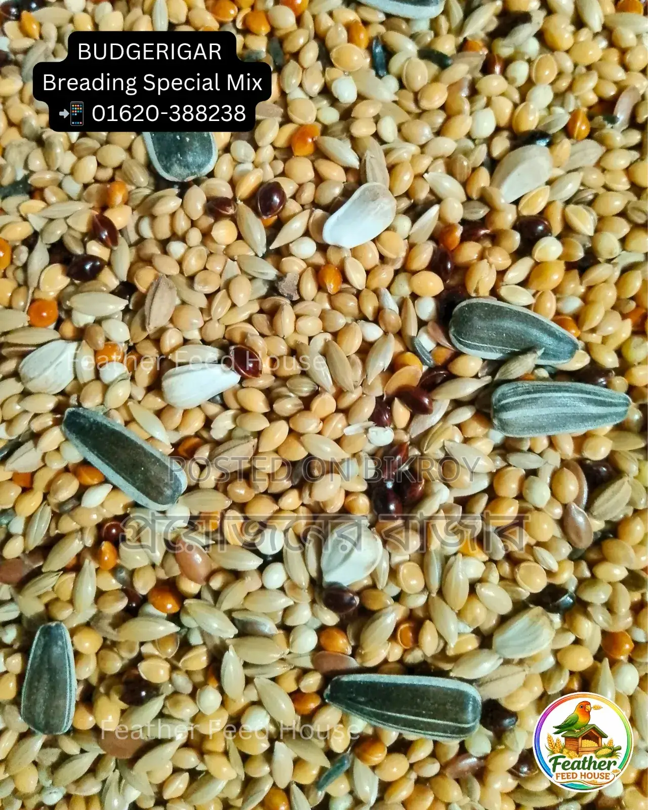 Budgie Breeding Special Seed Mix
