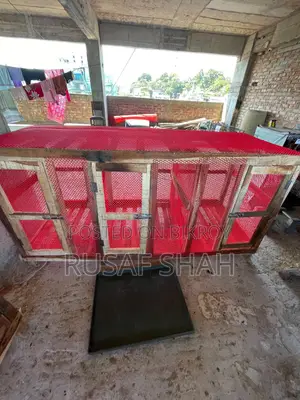 নিজের বানানো মুরগির ঘর