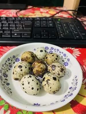 Quail Egg