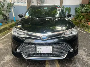 Toyota Corolla Fielder 2017 Black