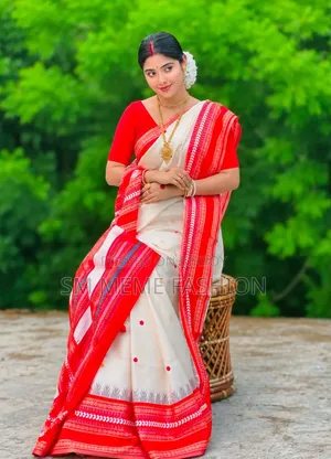 Indian Inspired Assam Silk Saree