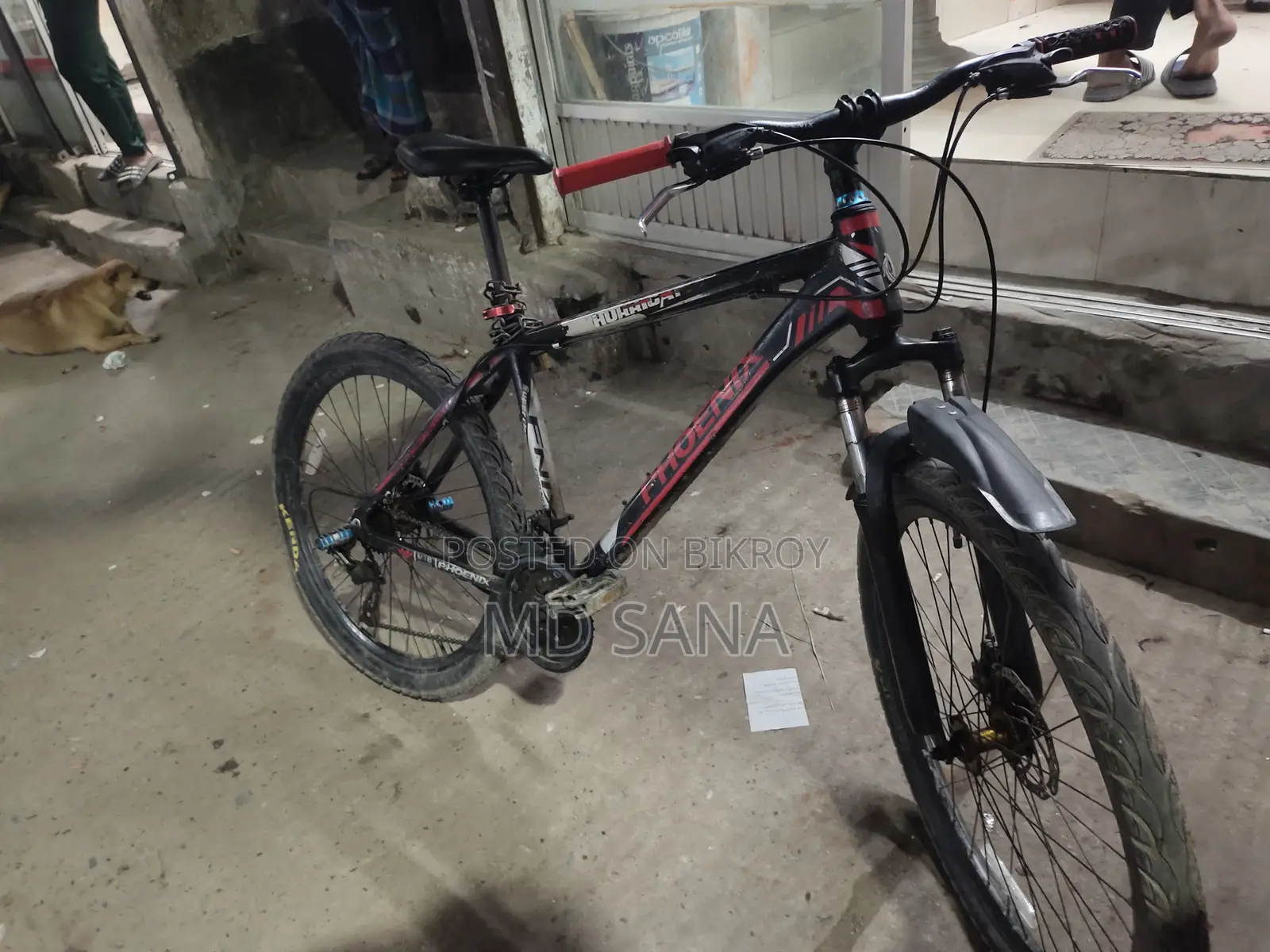 Phoenix Cycle