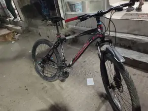 Phoenix Cycle