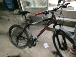 Phoenix Cycle
